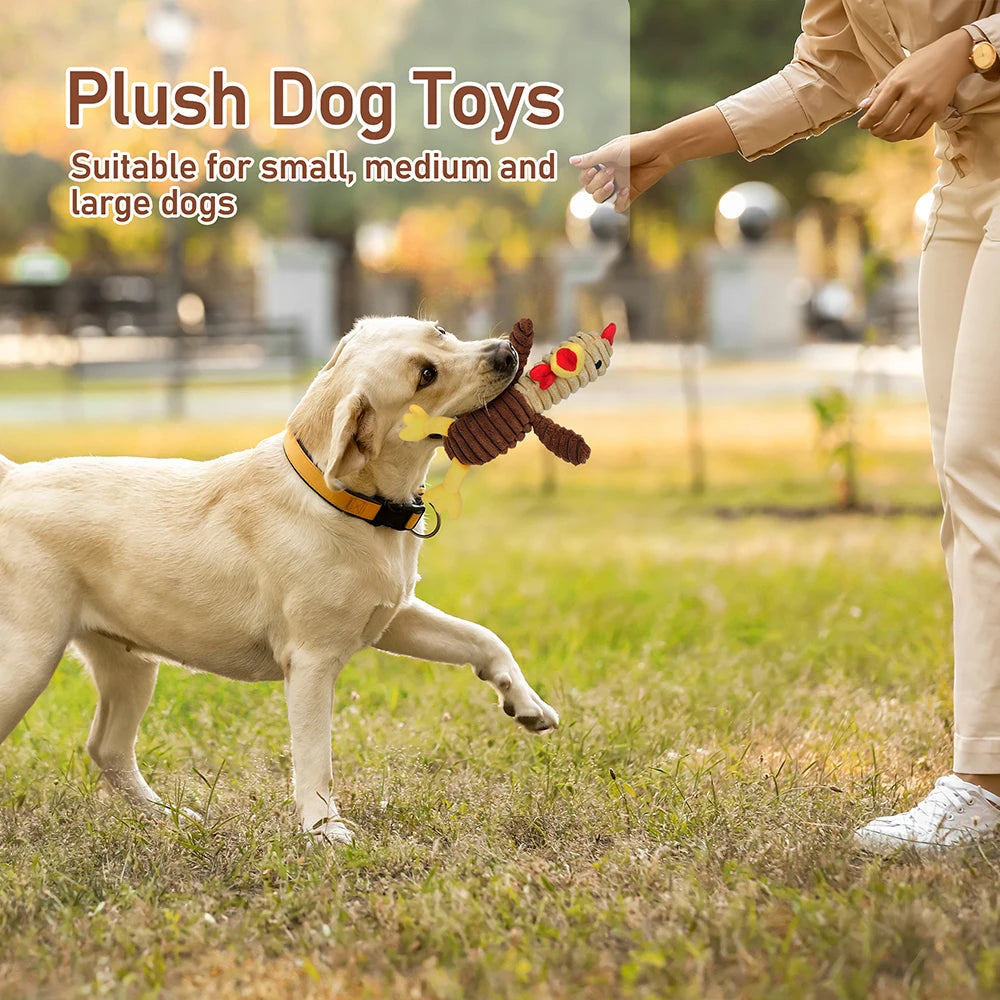 5 Pack Dog Toys Plush Dog Squeaky Toys, Assortment Value Bundle