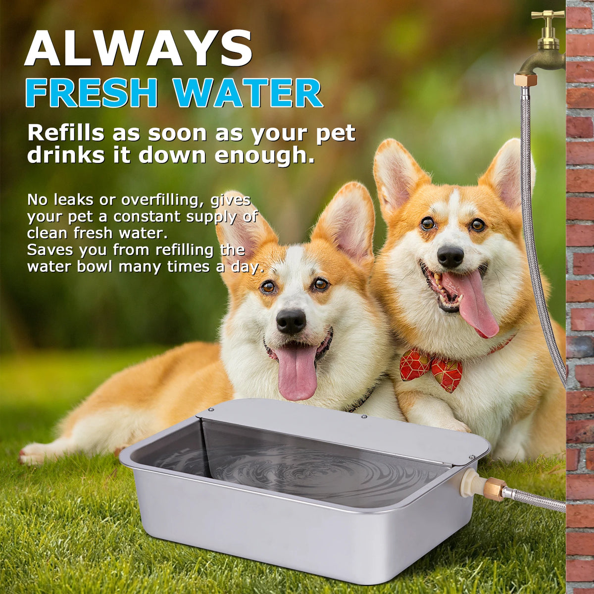 Automatic Outdoor Dog Water Dispenser Self-Filling