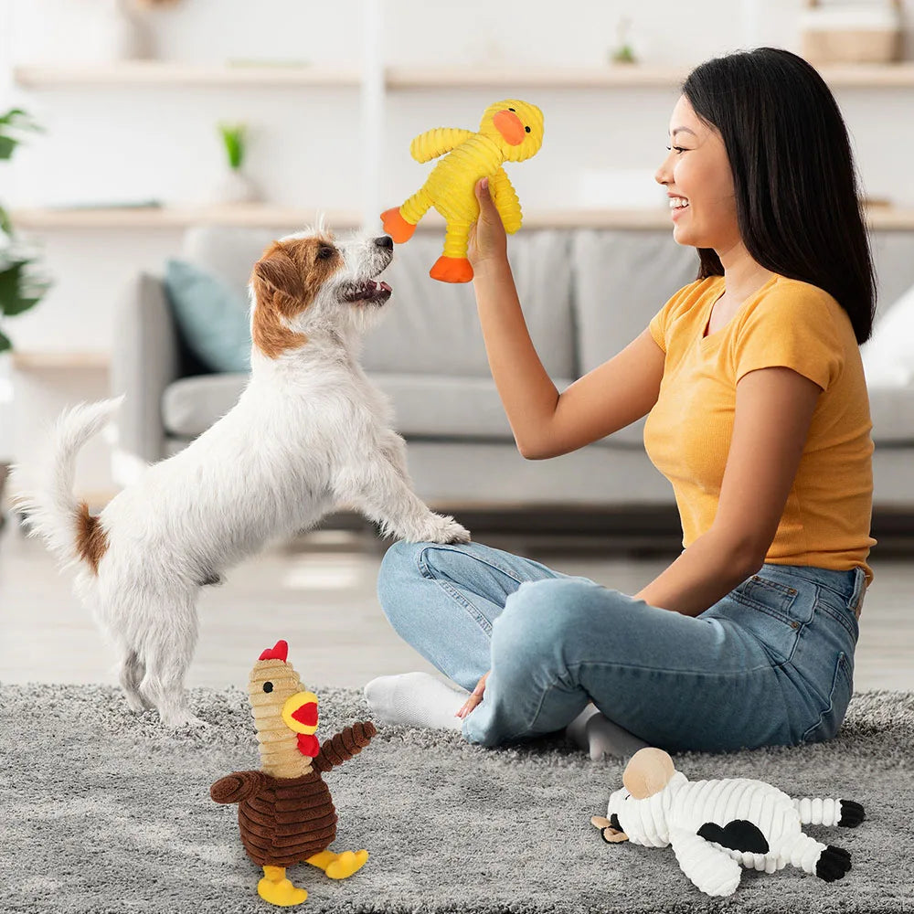 5 Pack Dog Toys Plush Dog Squeaky Toys, Assortment Value Bundle