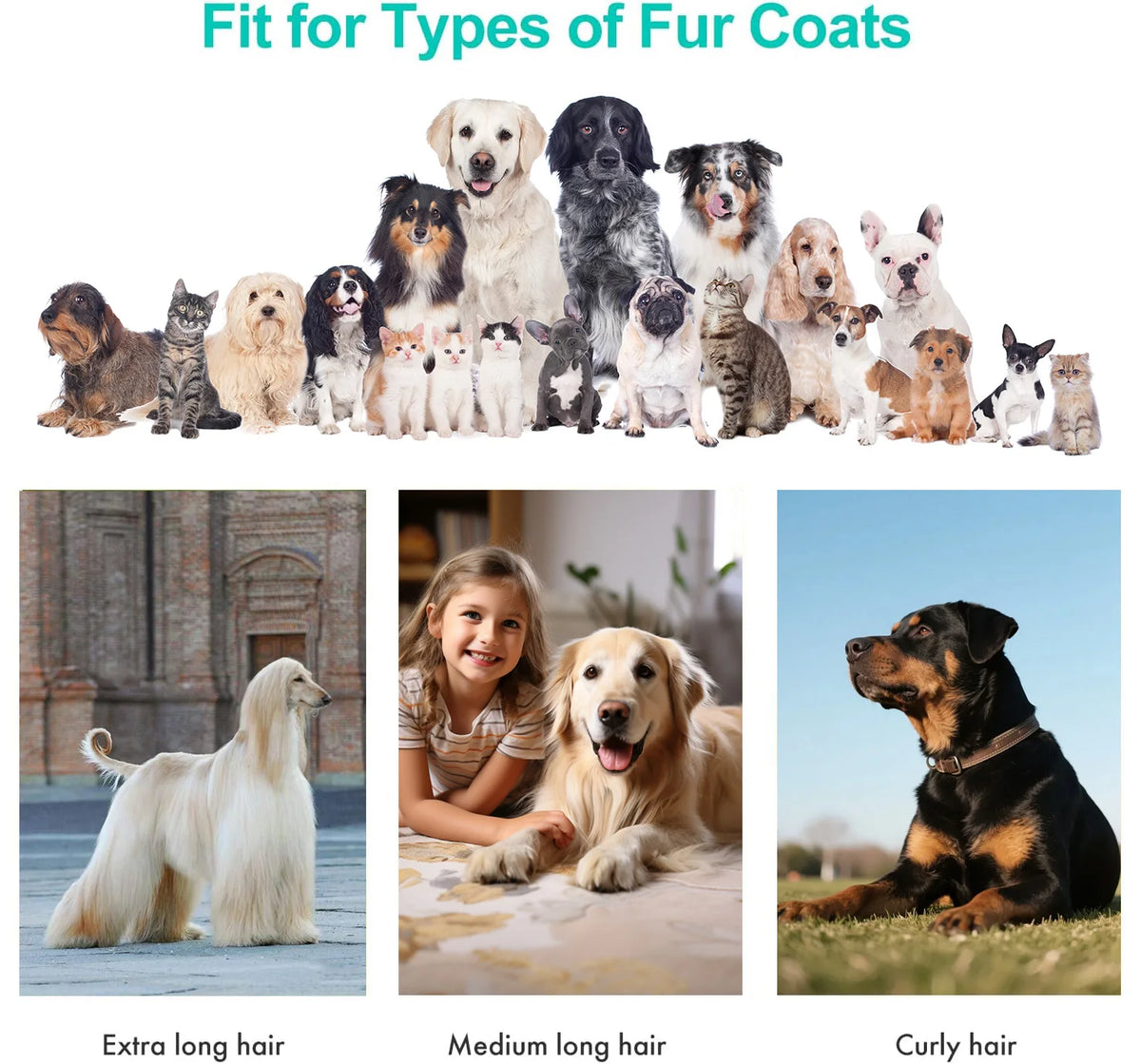 Pet Grooming Vacuum Kit: Powerful vacuum suction removes 99% of pet hair; includes a professional clipper; a versatile grooming tool suitable for dogs, cats, and other animals