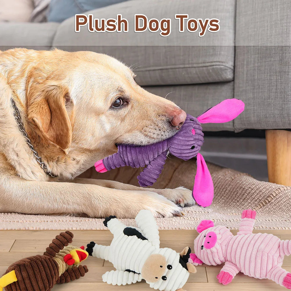 5 Pack Dog Toys Plush Dog Squeaky Toys, Assortment Value Bundle